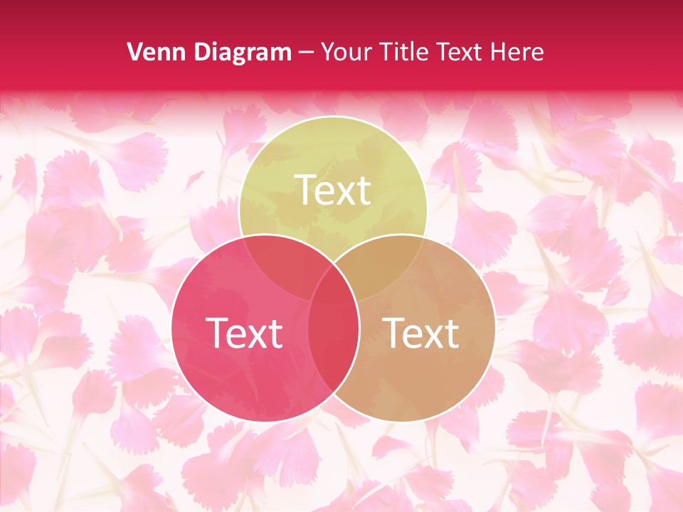 Garden Dianthus Nature PowerPoint Template