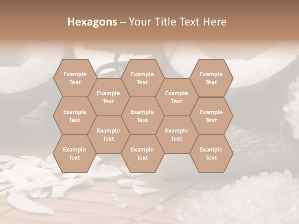 Wood Spa Shell PowerPoint Template