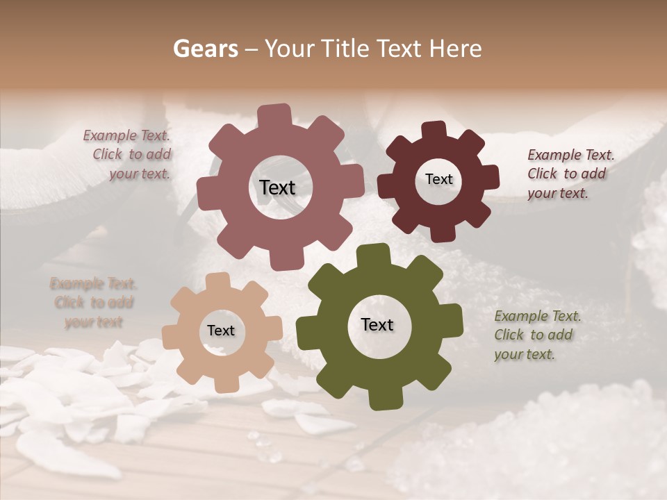 Wood Spa Shell PowerPoint Template