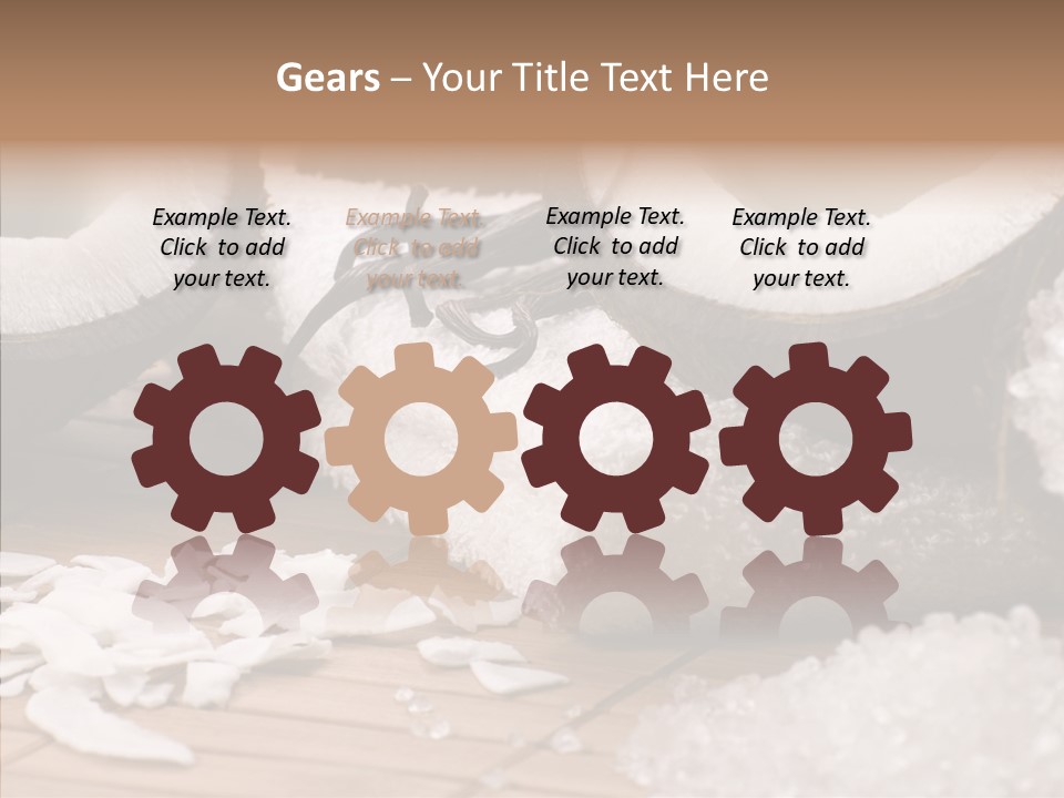 Wood Spa Shell PowerPoint Template