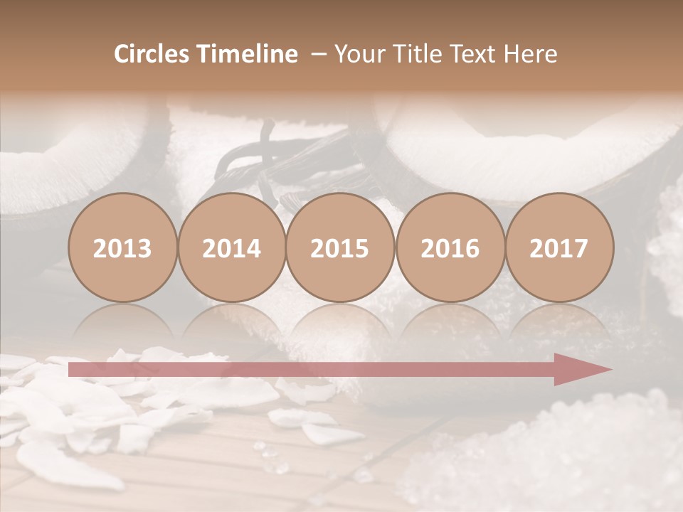 Wood Spa Shell PowerPoint Template