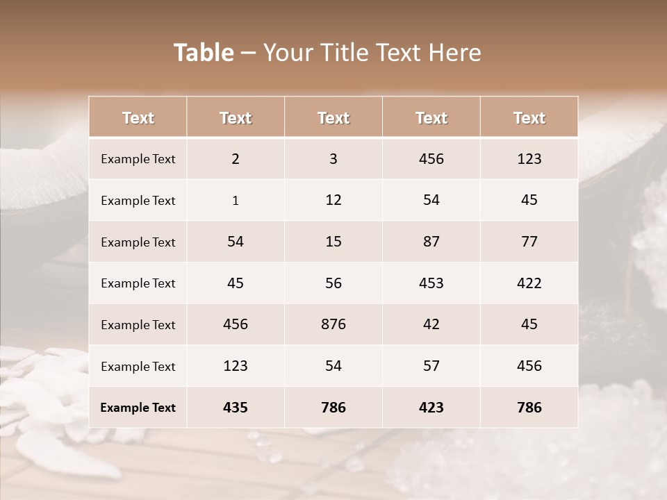 Wood Spa Shell PowerPoint Template