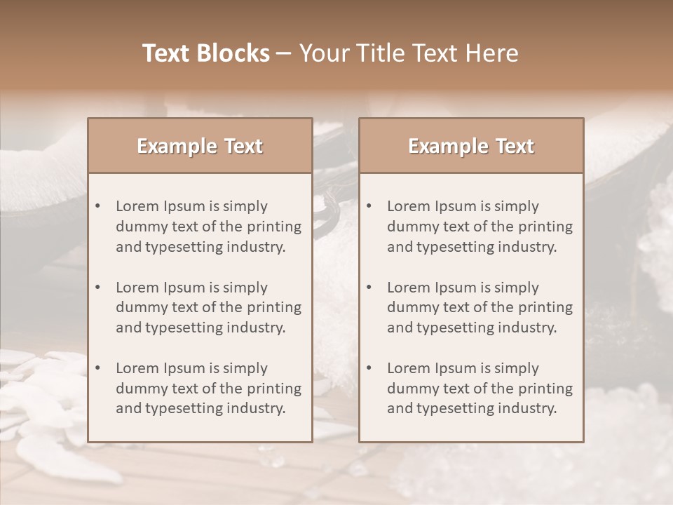 Wood Spa Shell PowerPoint Template