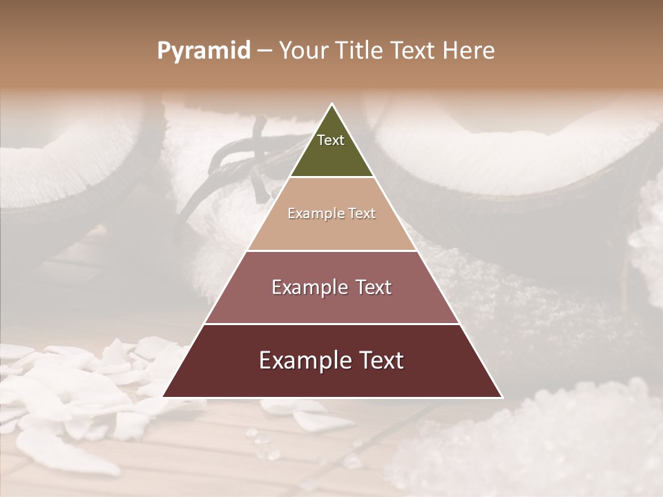 Wood Spa Shell PowerPoint Template