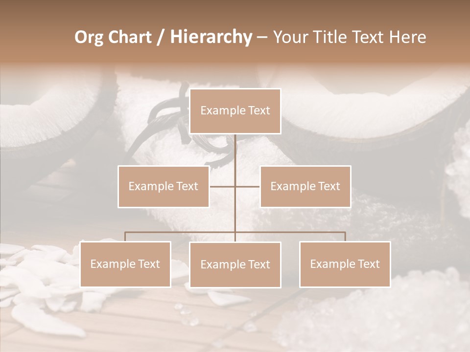 Wood Spa Shell PowerPoint Template
