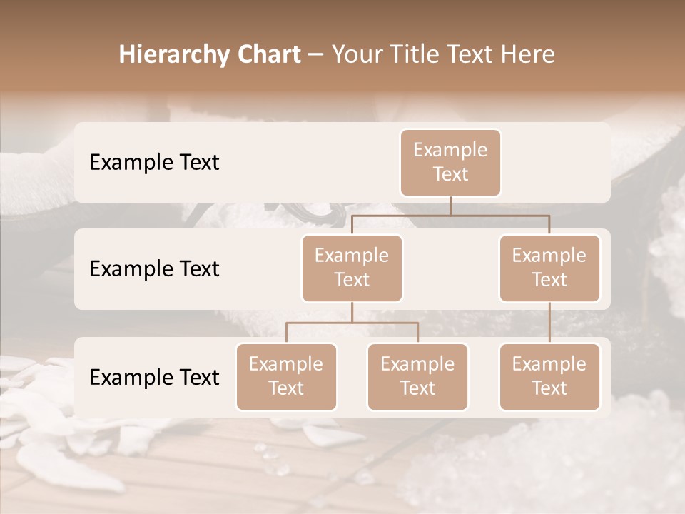 Wood Spa Shell PowerPoint Template