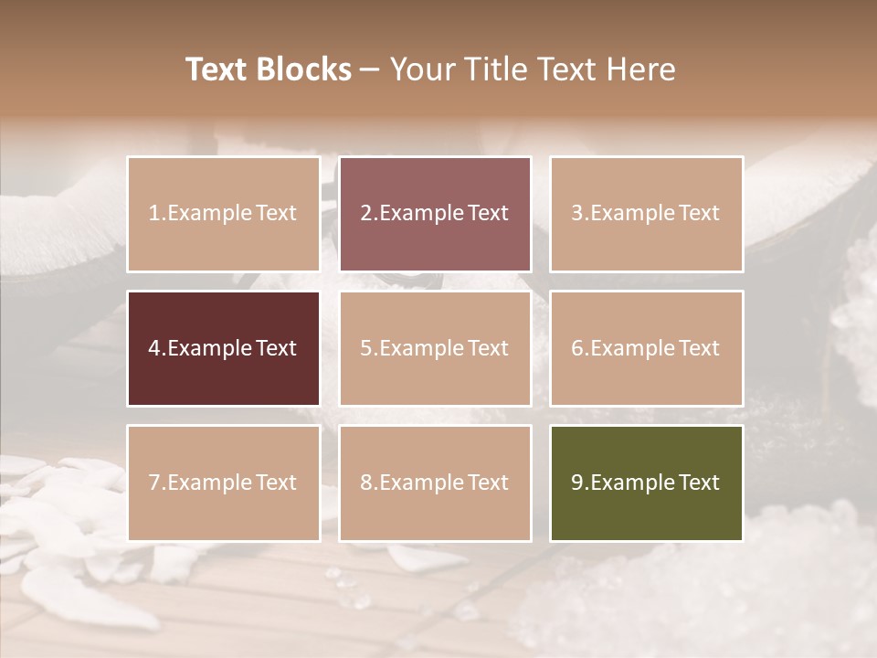 Wood Spa Shell PowerPoint Template