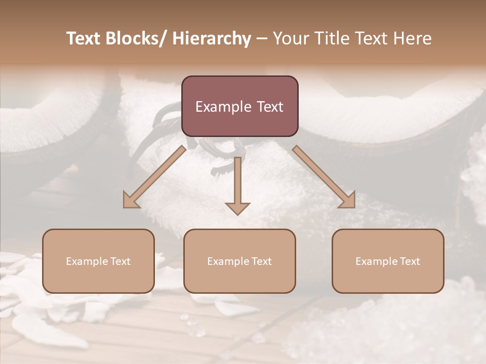 Wood Spa Shell PowerPoint Template