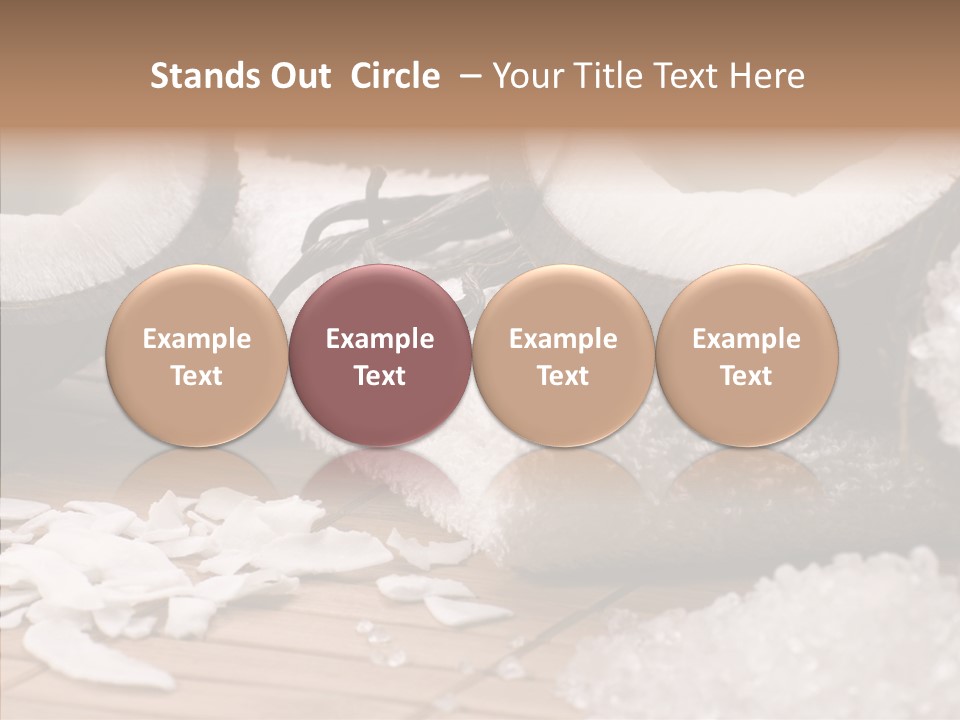 Wood Spa Shell PowerPoint Template