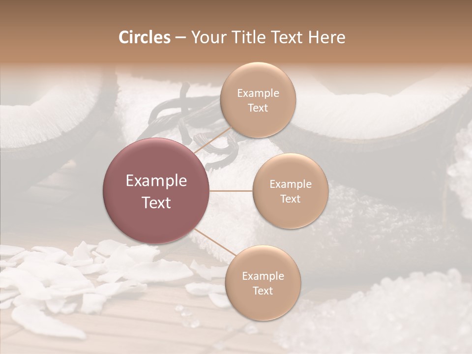 Wood Spa Shell PowerPoint Template