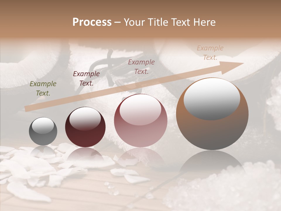Wood Spa Shell PowerPoint Template