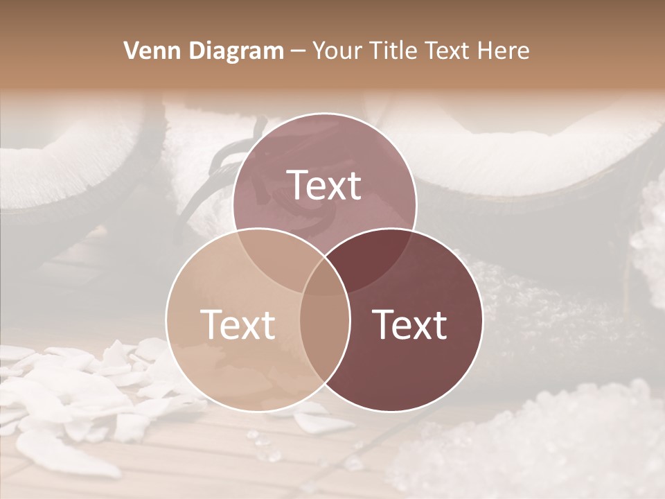 Wood Spa Shell PowerPoint Template