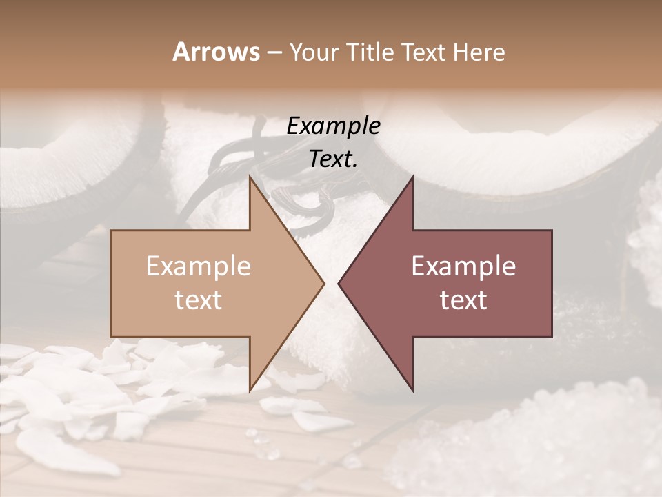 Wood Spa Shell PowerPoint Template