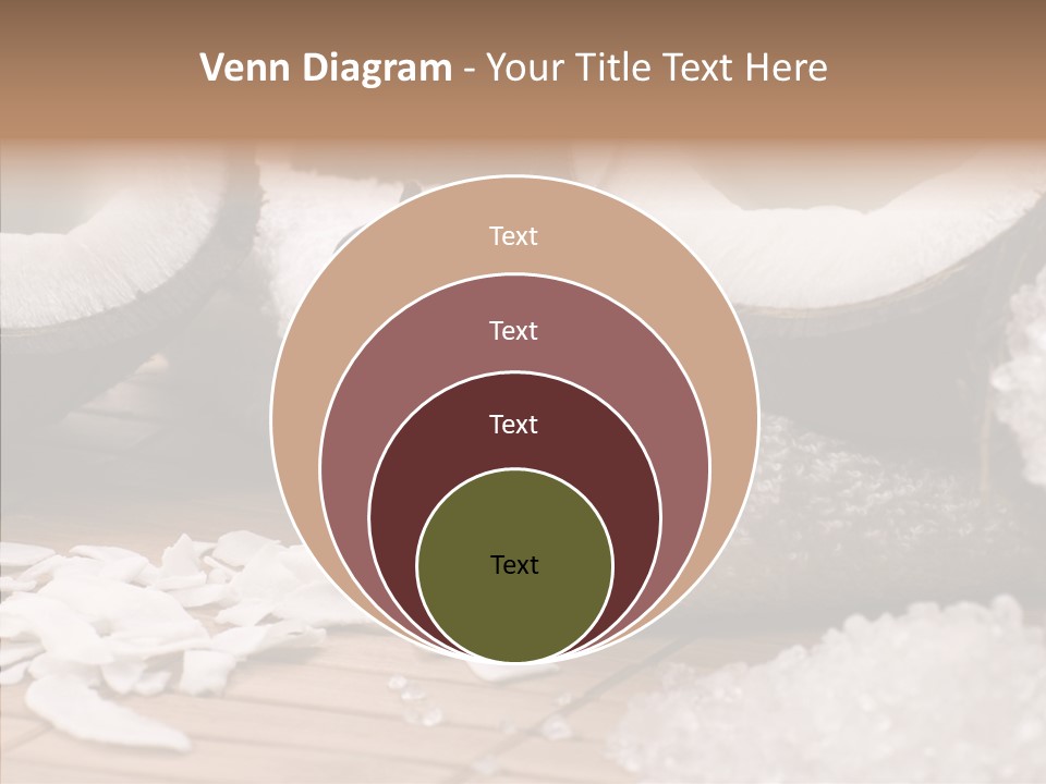 Wood Spa Shell PowerPoint Template