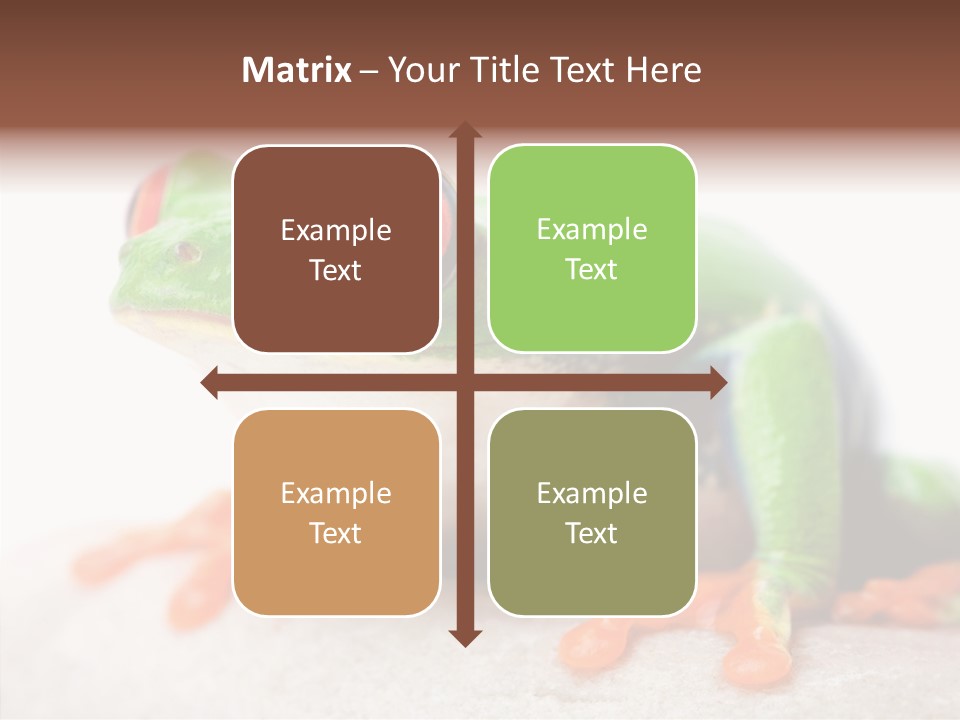 Closeup Close Macro PowerPoint Template