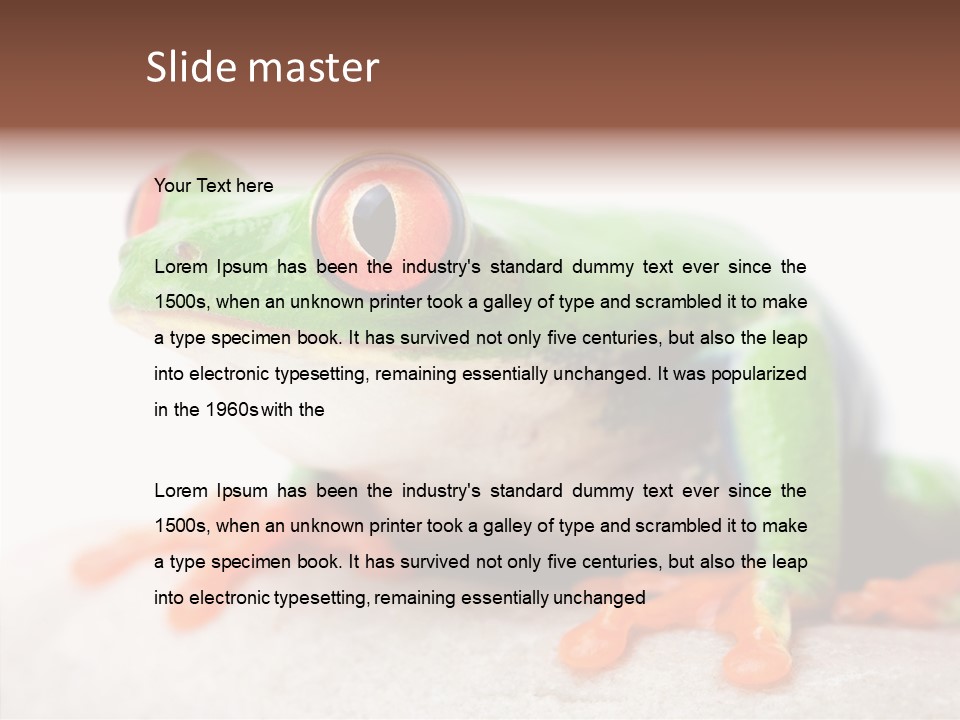 Closeup Close Macro PowerPoint Template