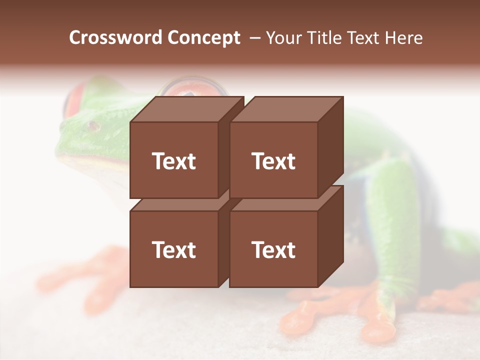 Closeup Close Macro PowerPoint Template