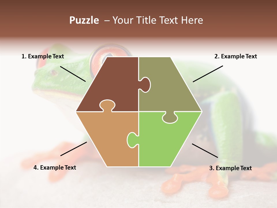 Closeup Close Macro PowerPoint Template