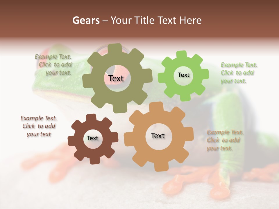 Closeup Close Macro PowerPoint Template