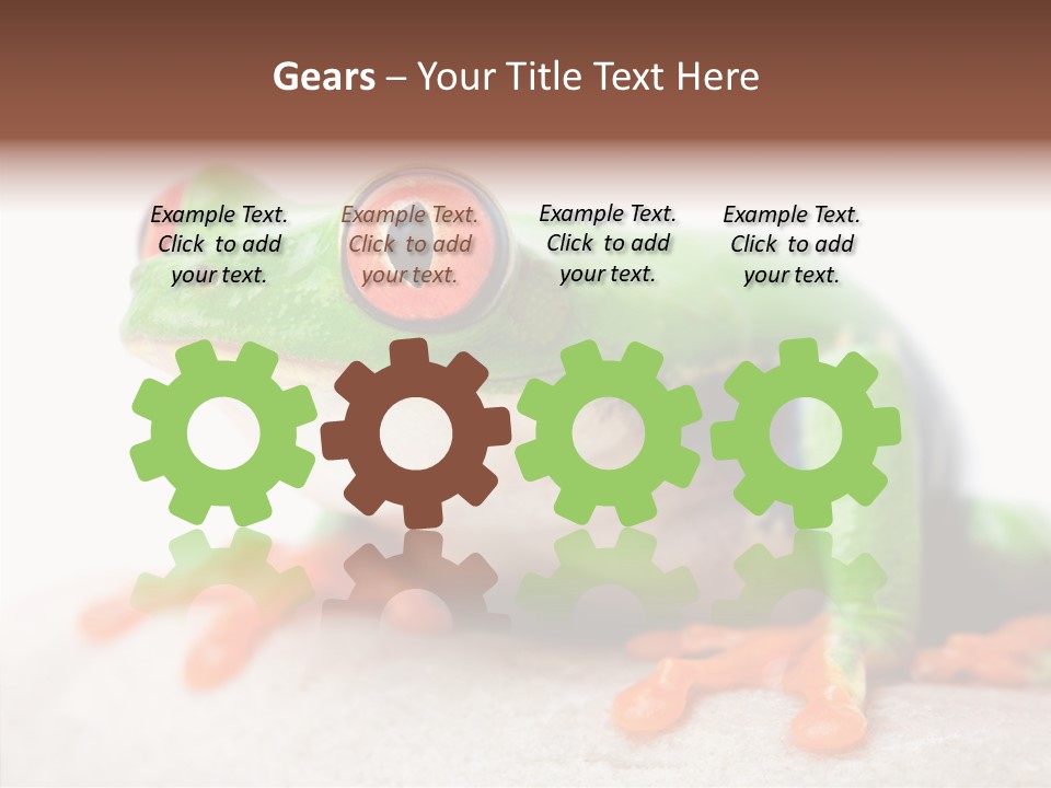 Closeup Close Macro PowerPoint Template