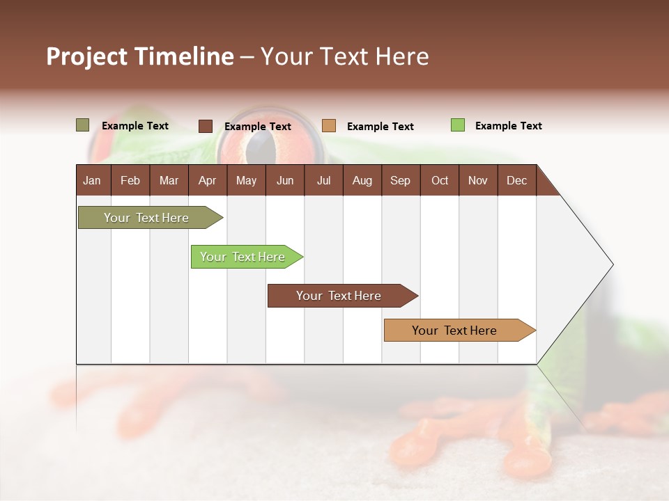 Closeup Close Macro PowerPoint Template