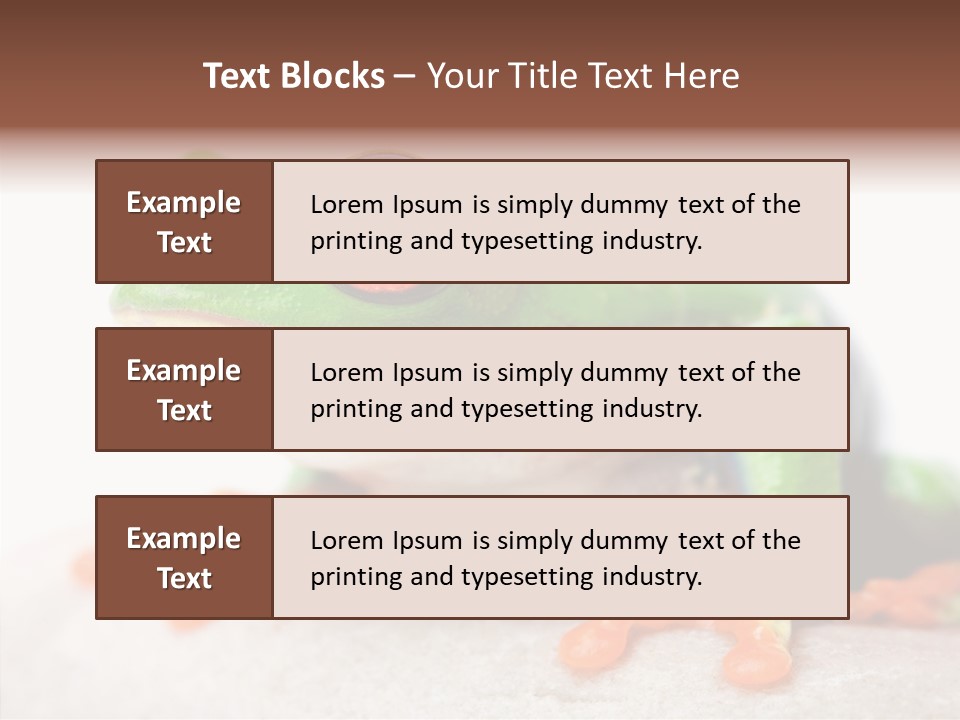 Closeup Close Macro PowerPoint Template