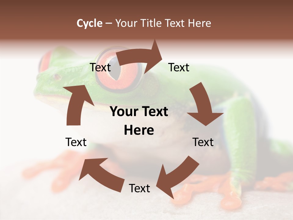Closeup Close Macro PowerPoint Template