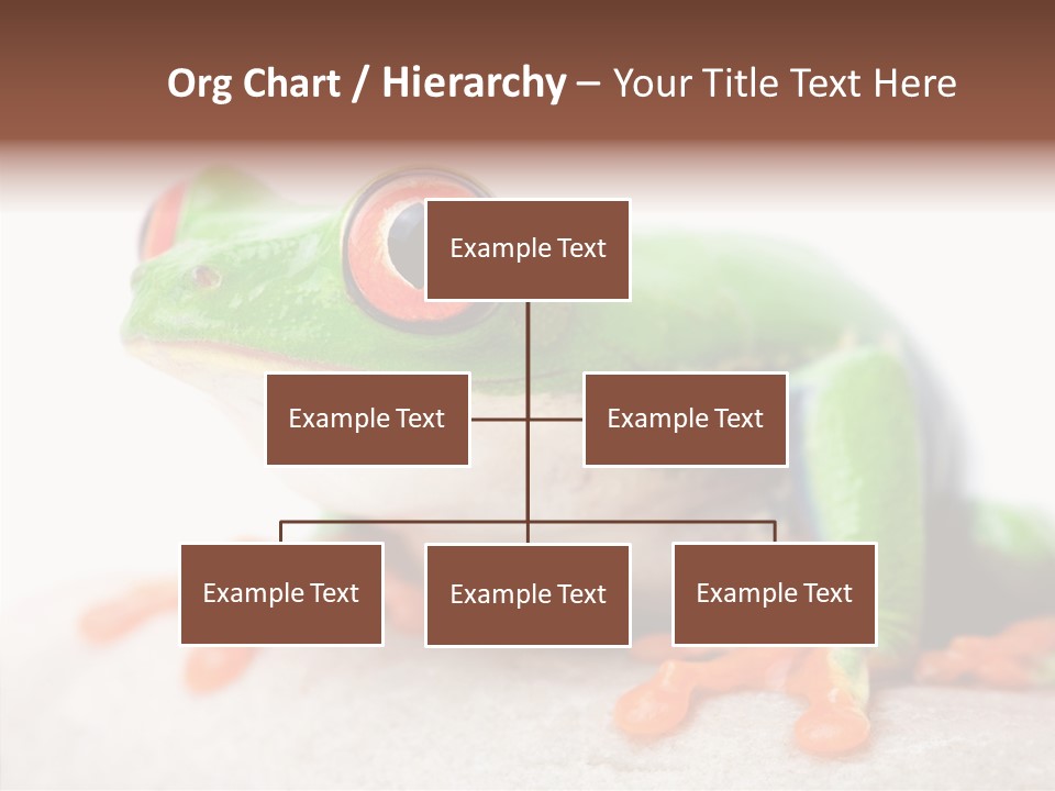 Closeup Close Macro PowerPoint Template