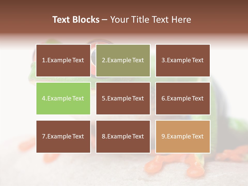 Closeup Close Macro PowerPoint Template