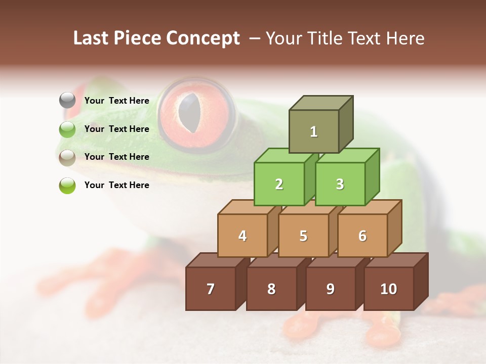 Closeup Close Macro PowerPoint Template