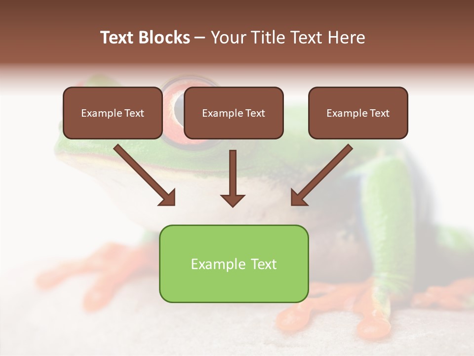 Closeup Close Macro PowerPoint Template