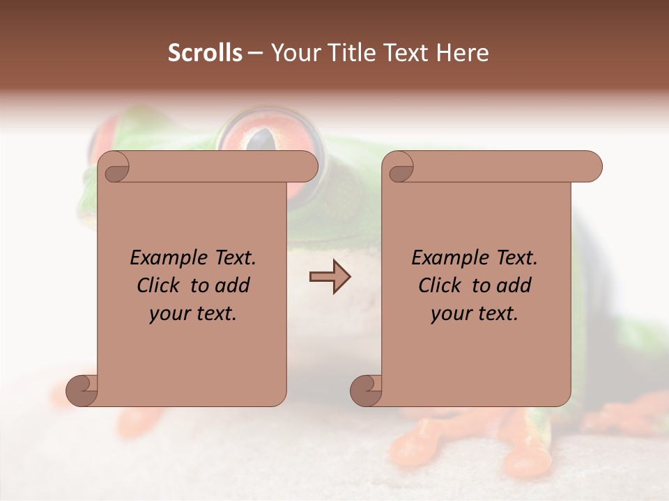 Closeup Close Macro PowerPoint Template