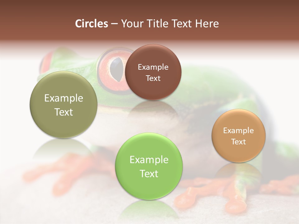 Closeup Close Macro PowerPoint Template