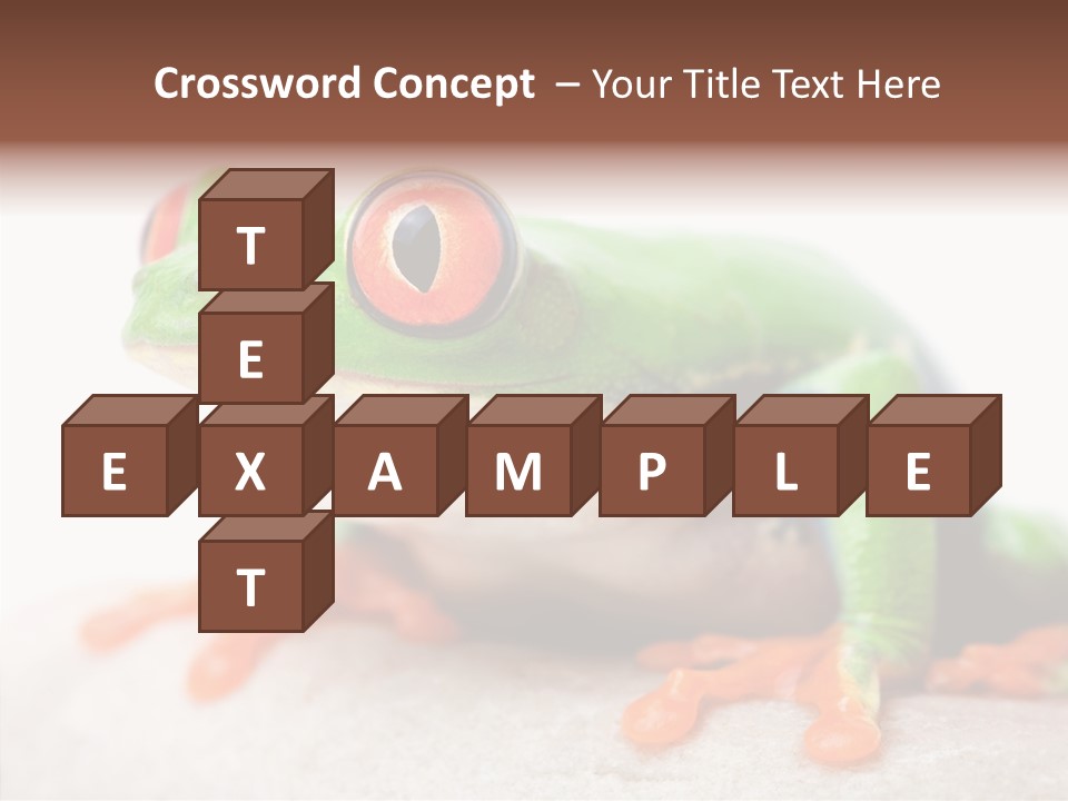 Closeup Close Macro PowerPoint Template