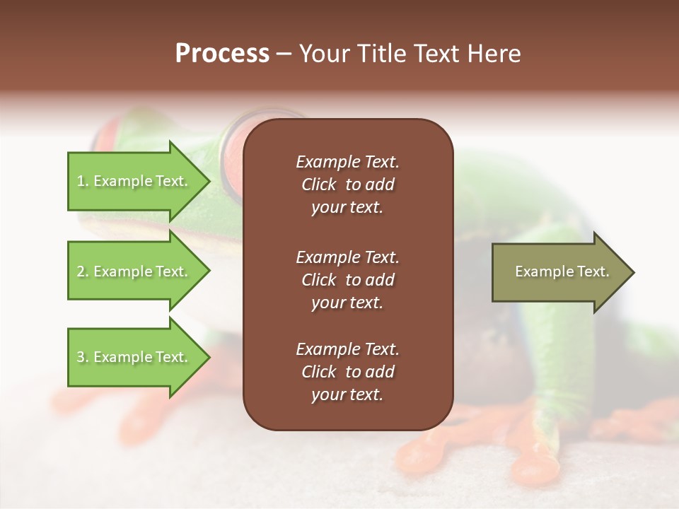 Closeup Close Macro PowerPoint Template