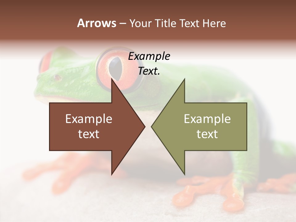 Closeup Close Macro PowerPoint Template