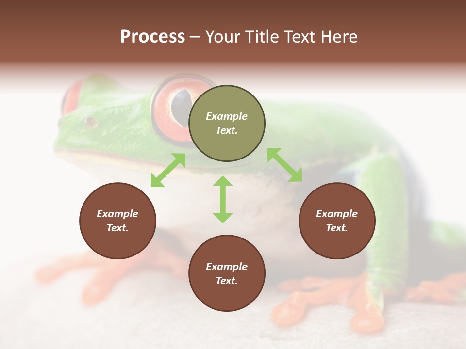 Closeup Close Macro PowerPoint Template