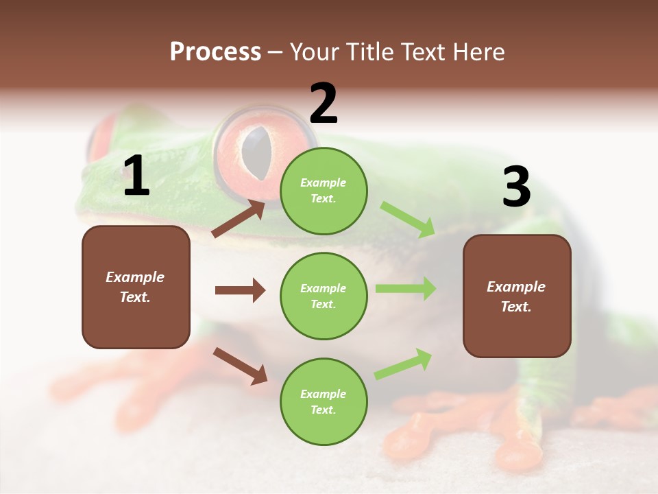 Closeup Close Macro PowerPoint Template