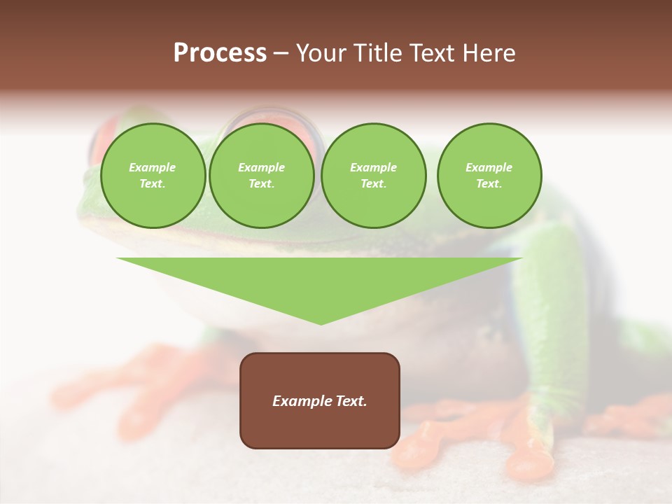 Closeup Close Macro PowerPoint Template