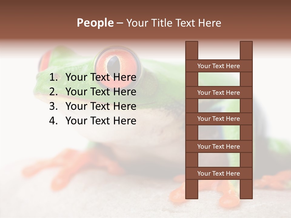 Closeup Close Macro PowerPoint Template