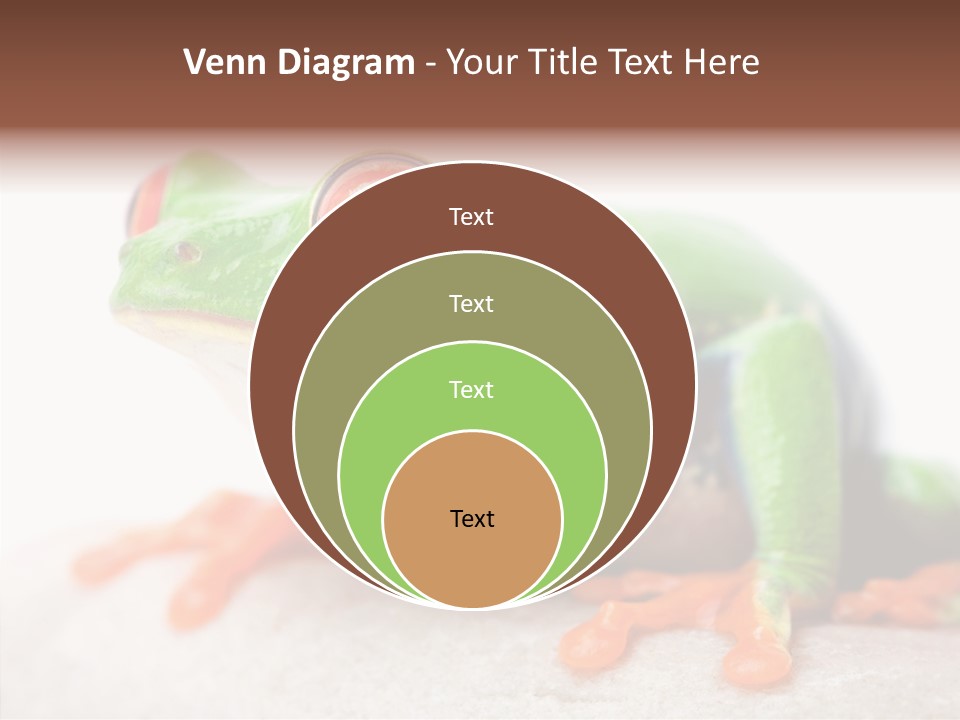 Closeup Close Macro PowerPoint Template