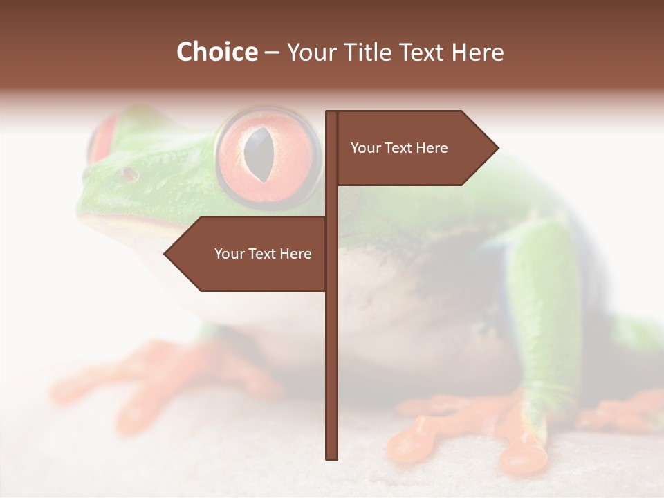 Closeup Close Macro PowerPoint Template