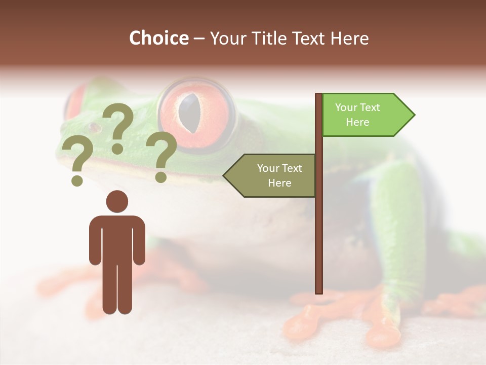 Closeup Close Macro PowerPoint Template