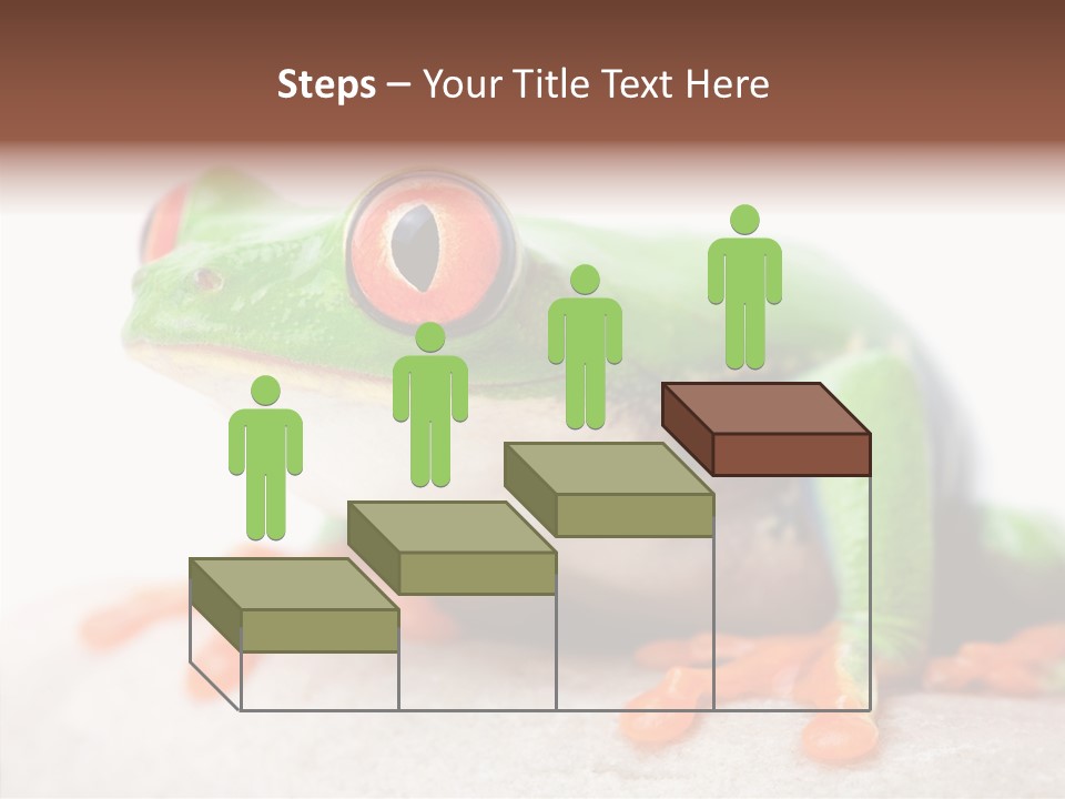 Closeup Close Macro PowerPoint Template