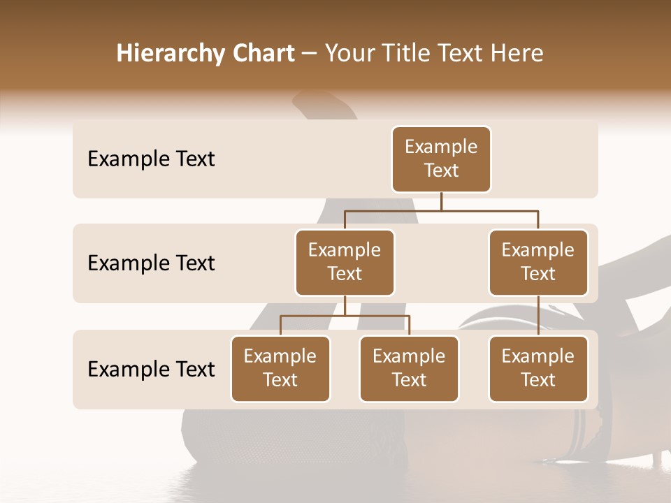 Bu Ine Boardroom Meeting PowerPoint Template