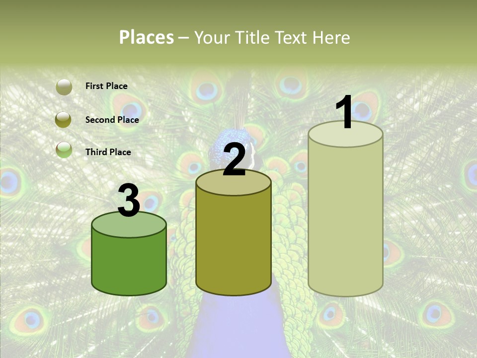 Peacock Peahen Cristatus PowerPoint Template