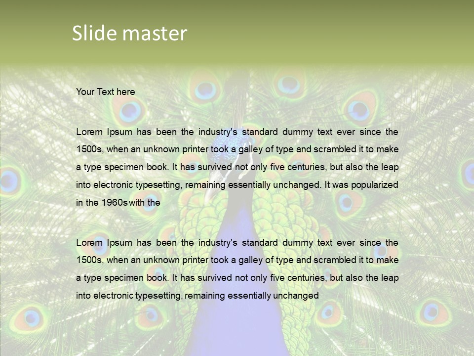 Peacock Peahen Cristatus PowerPoint Template