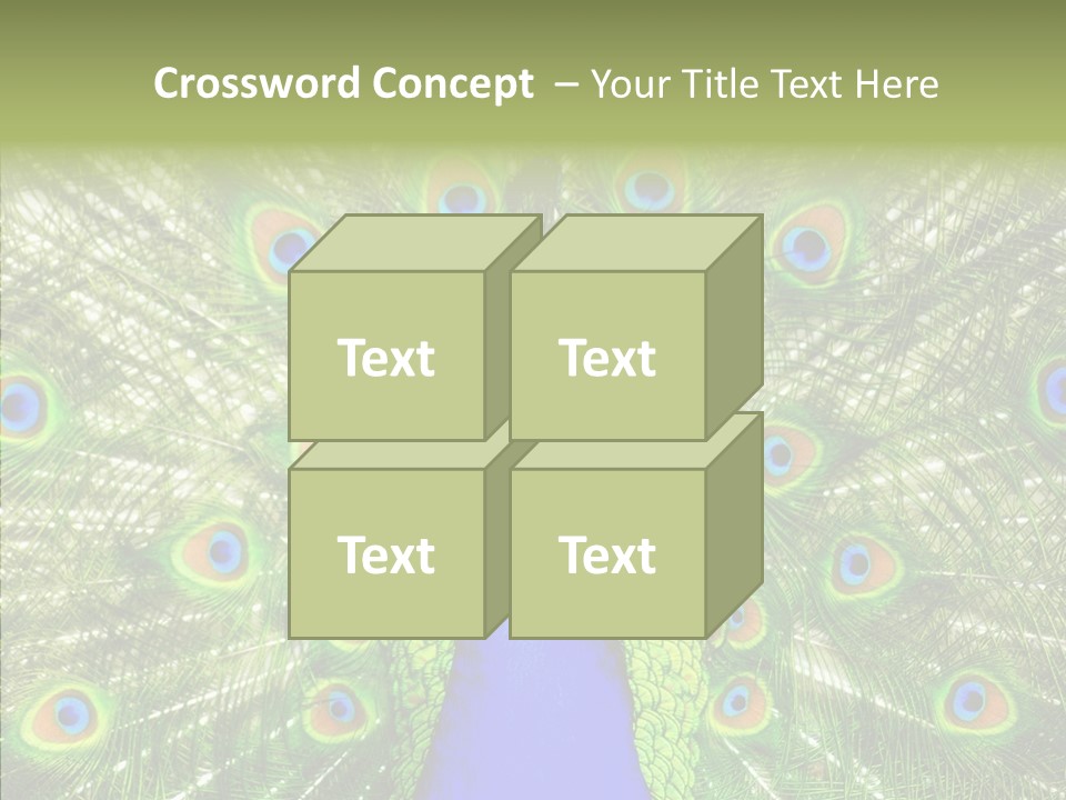 Peacock Peahen Cristatus PowerPoint Template