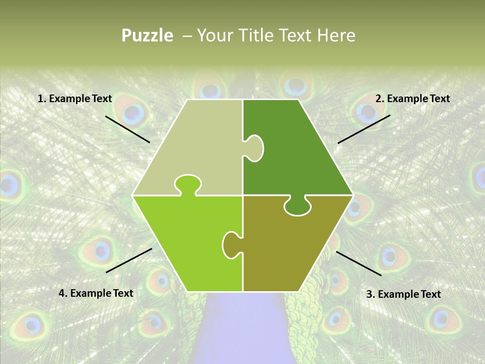 Peacock Peahen Cristatus PowerPoint Template