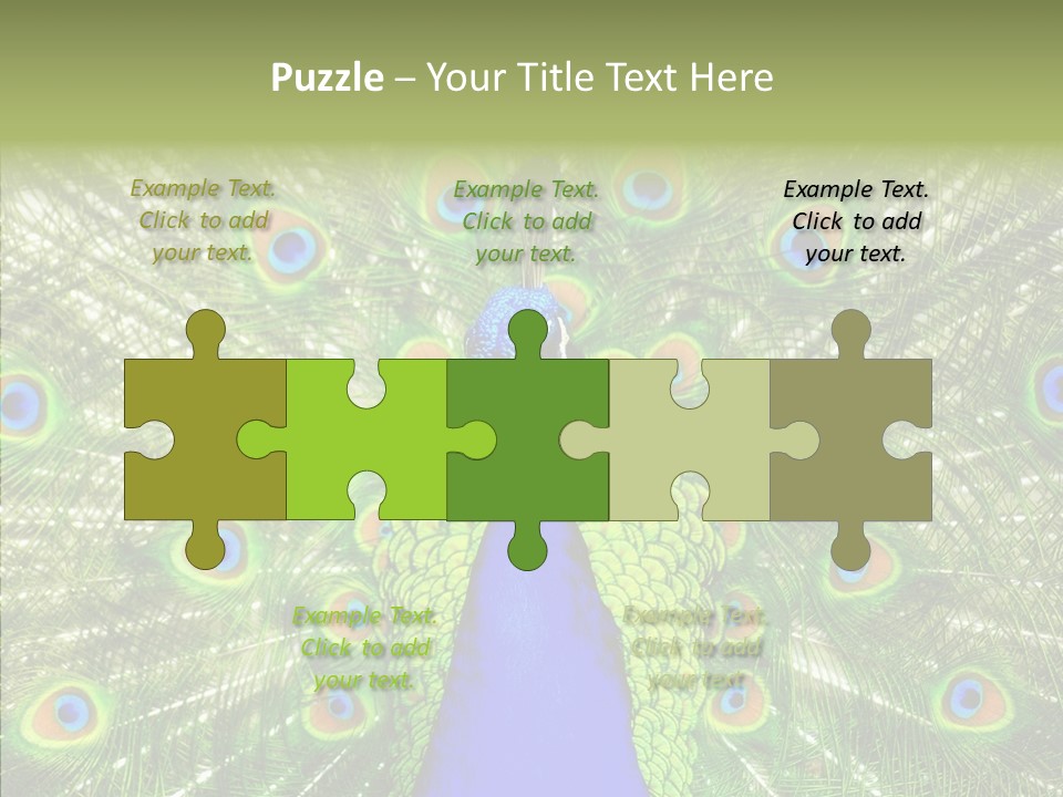 Peacock Peahen Cristatus PowerPoint Template